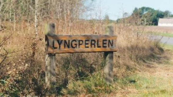 Lyngperlen